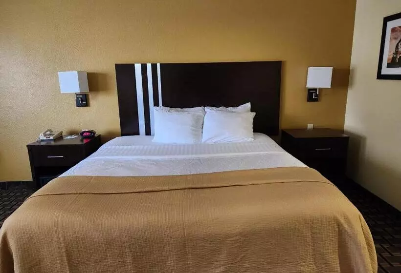 Fotos del hotel Best Western Plus Sam Houston Inn & Suites:  19