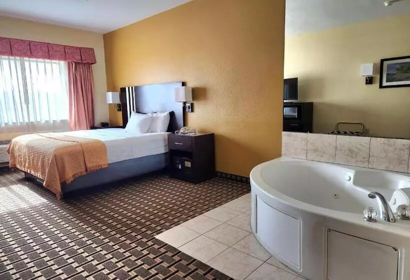 Fotos del hotel Best Western Plus Sam Houston Inn & Suites:  5