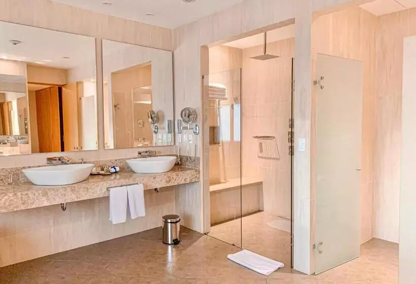 Fotos del hotel Dann Carlton Barranquilla:  22