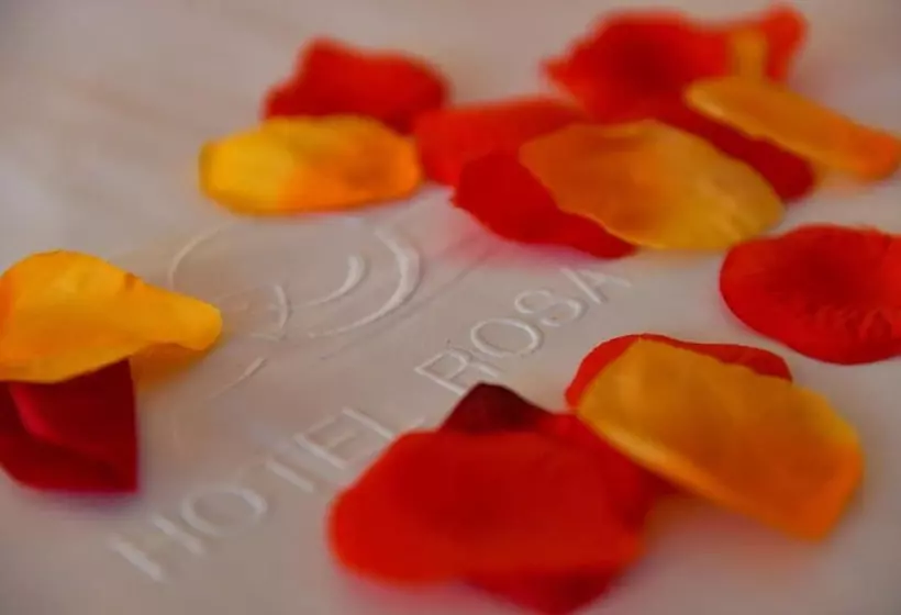 Fotos del hotel Rosa Spa Begur:  7