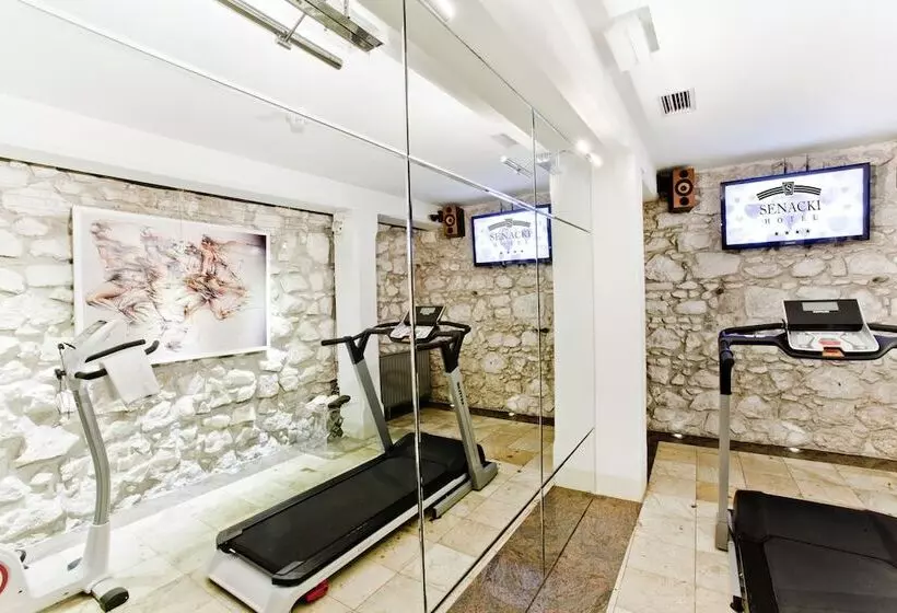 Fotos del hotel Senacki:  29