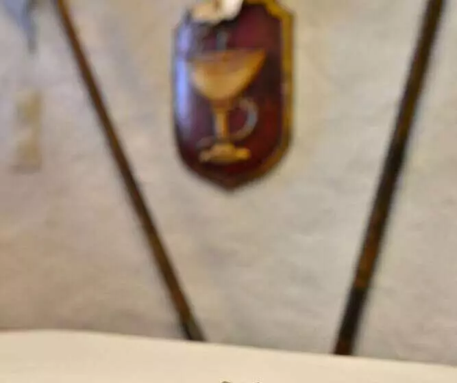 Fotos del hotel Burg Stammhaus:  5