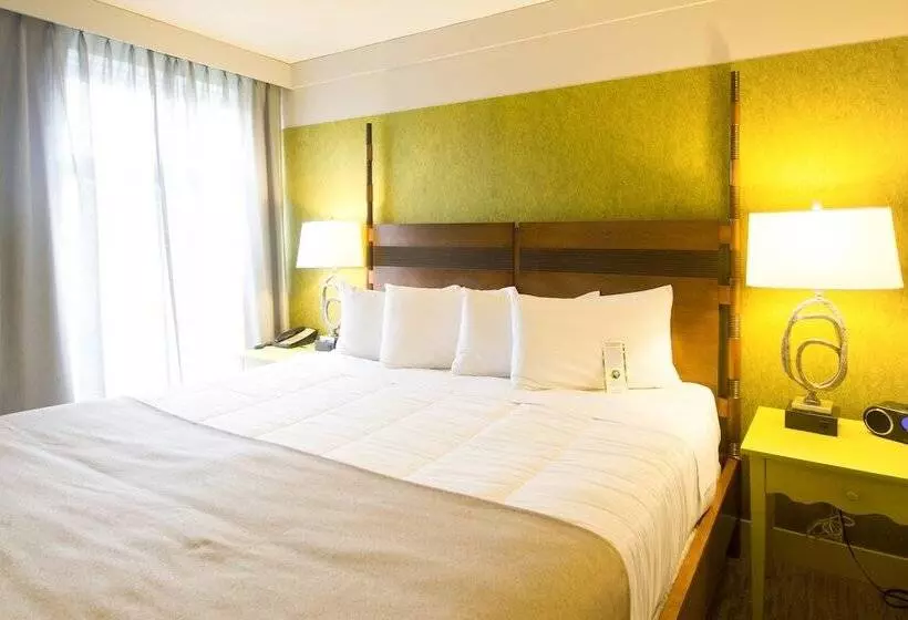 Fotos del hotel Champlain:  20