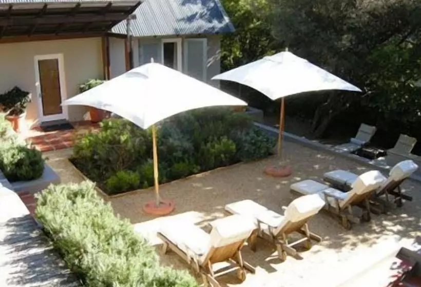 Fotos del hotel Four Rosmead Boutique Guesthouse:  9