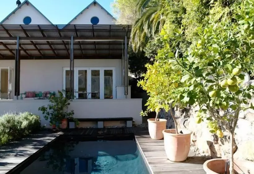 Fotos del hotel Four Rosmead Boutique Guesthouse:  6