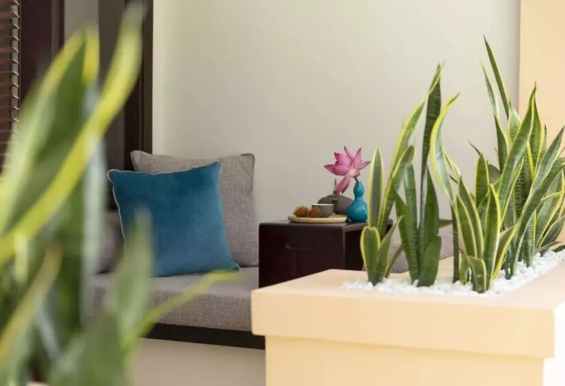 Fotos del hotel Anantara Hoi An Resort:  61