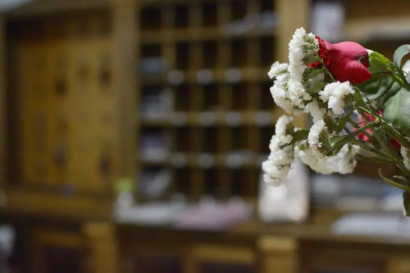 Fotos del hotel Funtana Noa:  7