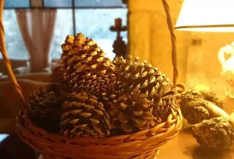 Fotos del hotel Hosteria El Condado:  5