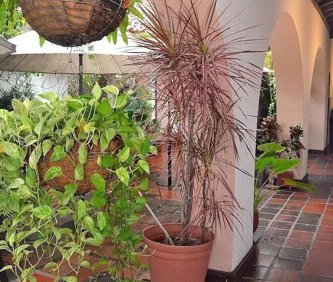 Fotos del hotel Puertas De Cartagena:  3