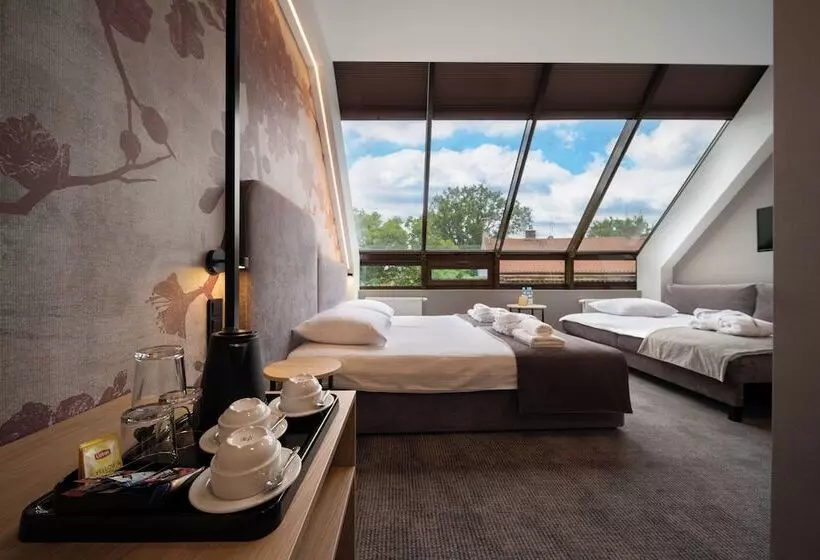 Fotos del hotel Alexander:  12