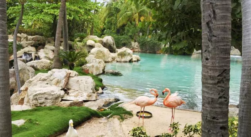 Fotos del hotel Princess Mundo Imperial:  8