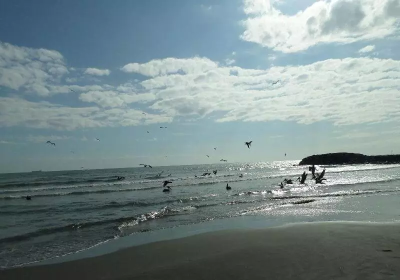 Fotos del hotel Suites Mediterraneo:  6