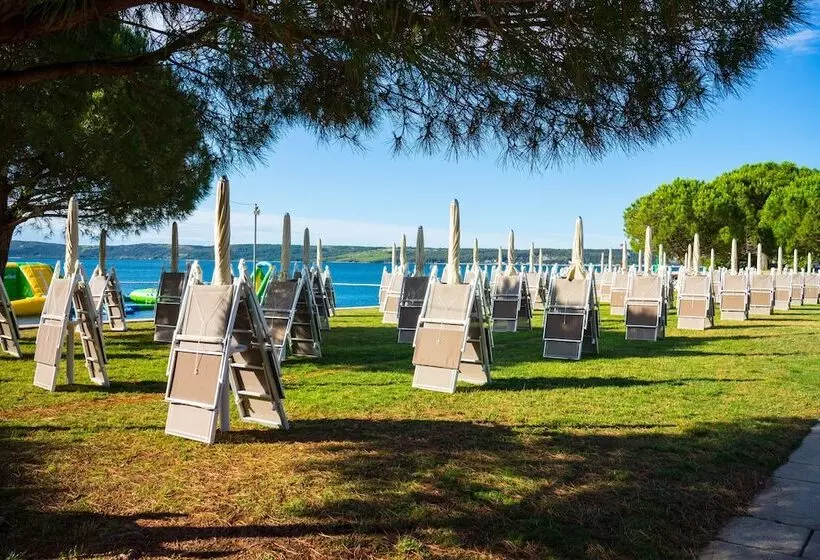 Fotos del hotel Histrion:  5