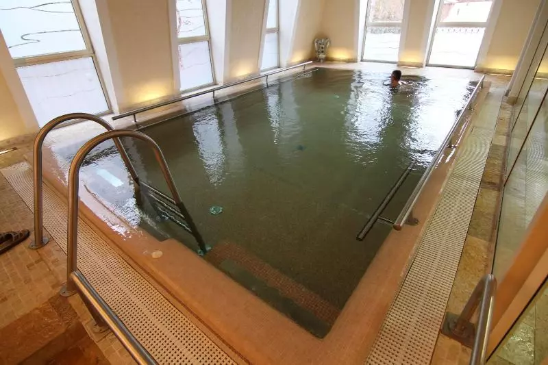 Fotos del hotel Humboldt Park Hotel & Spa:  9