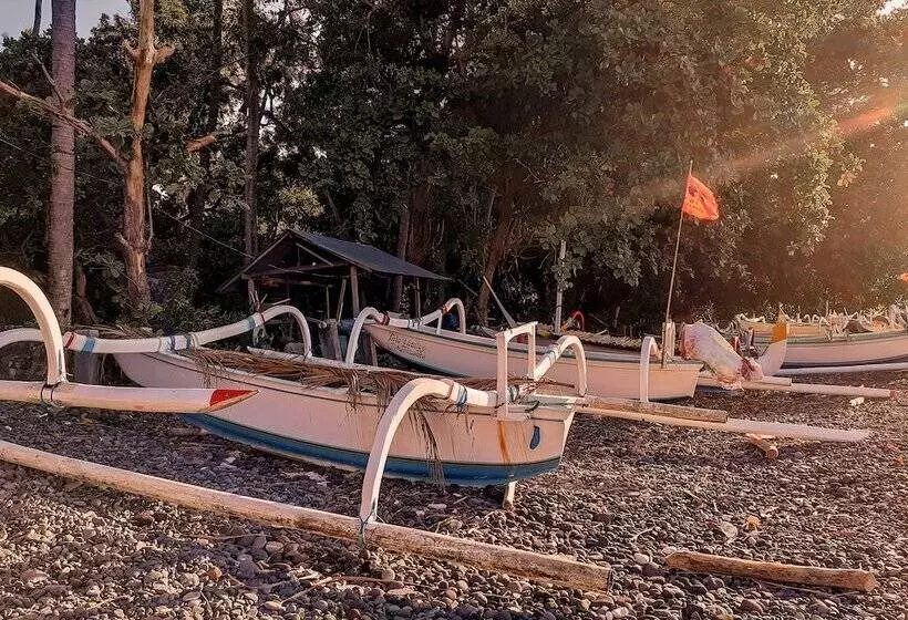 Fotos del hotel Mimpi Resort Tulamben:  22