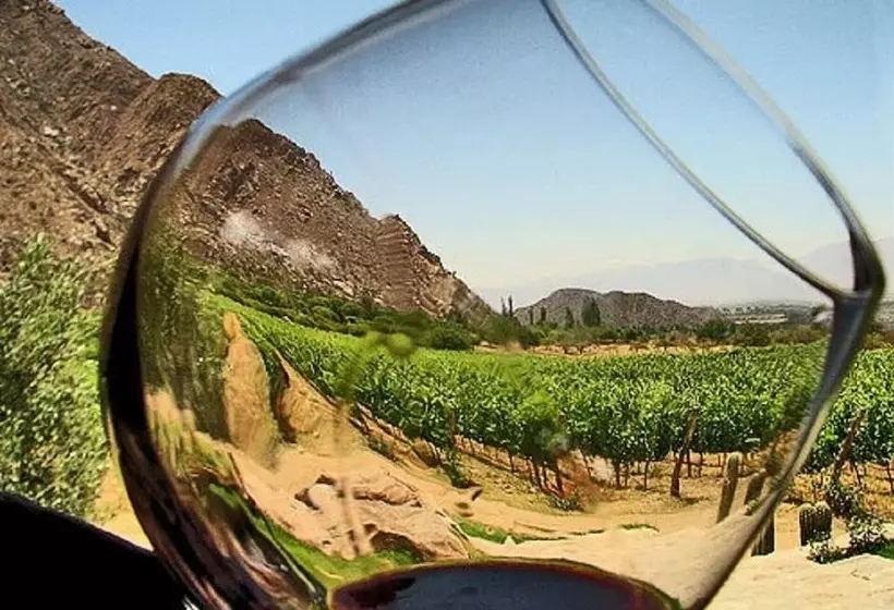 Fotos del hotel Palacio Azteca:  21