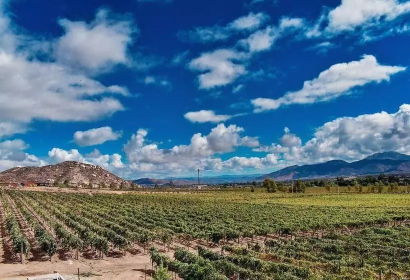 Fotos del hotel Palacio Azteca:  17