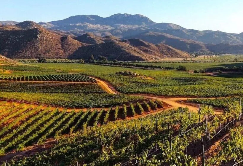 Fotos del hotel Palacio Azteca:  25