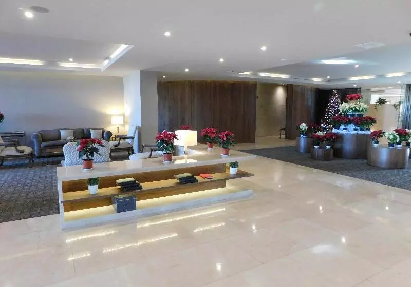 Fotos del hotel Palacio Azteca:  13