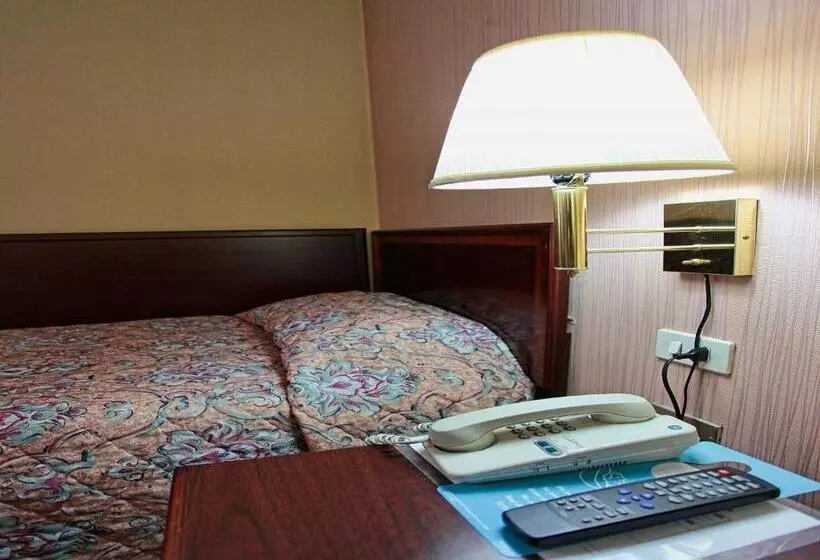 Fotos del hotel Regency:  22