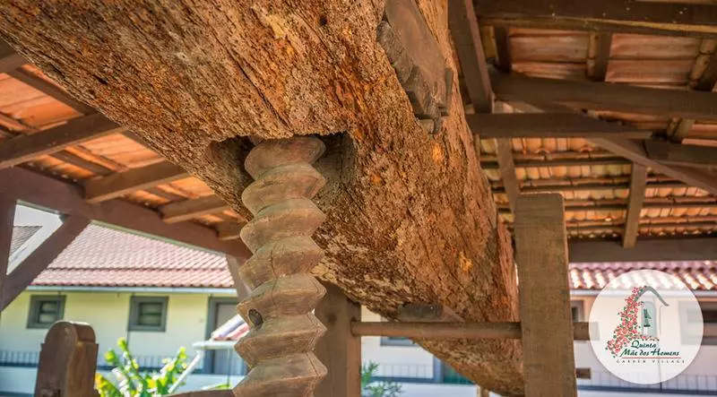 Fotos del hotel Apartamentos Quinta Mae Dos Homens:  4