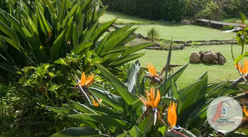 Fotos del hotel Apartamentos Quinta Mae Dos Homens:  8