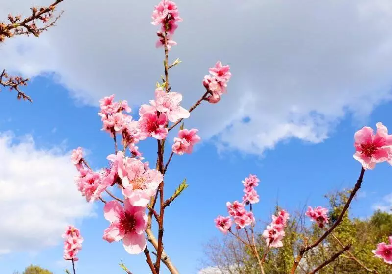Fotos del hotel Apartmani Gabric:  2