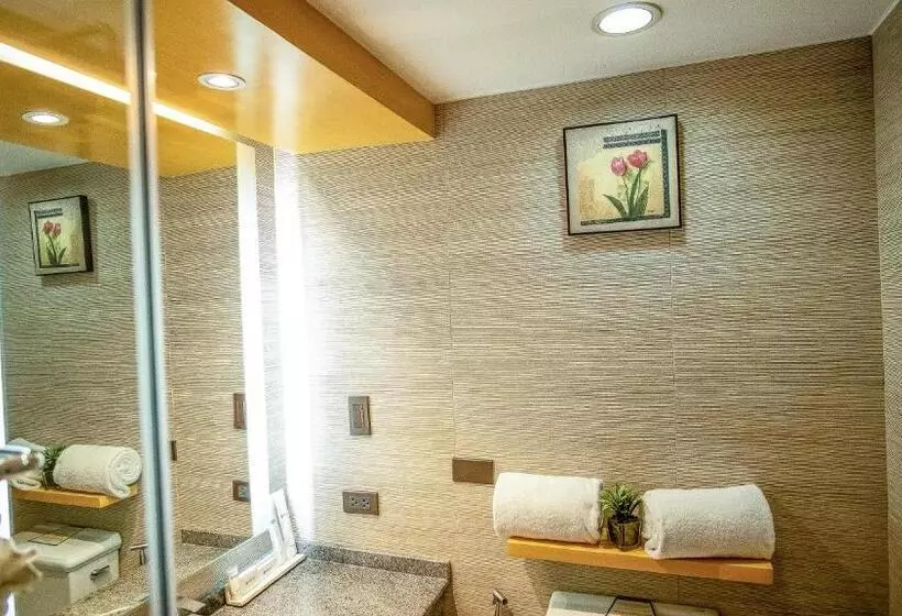 Fotos del hotel Cebu Parklane International:  8