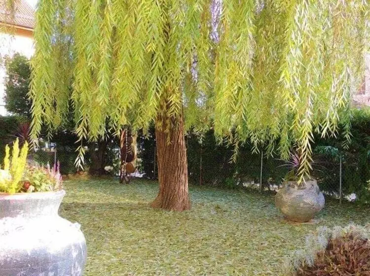 Fotos del hotel Des Horlogers:  6