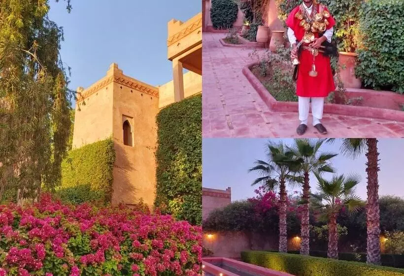 Fotos del hotel La Maison Des Oliviers:  21