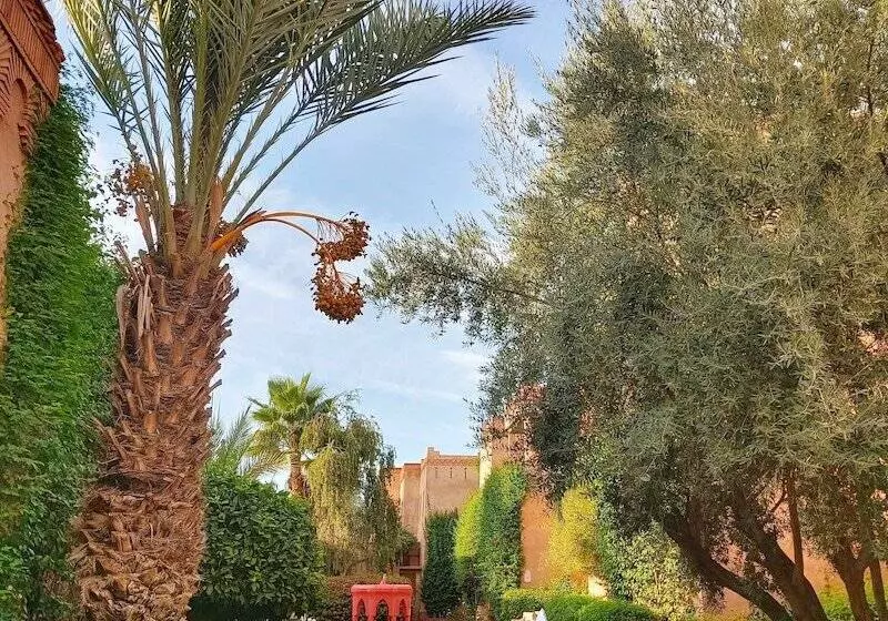 Fotos del hotel La Maison Des Oliviers:  15