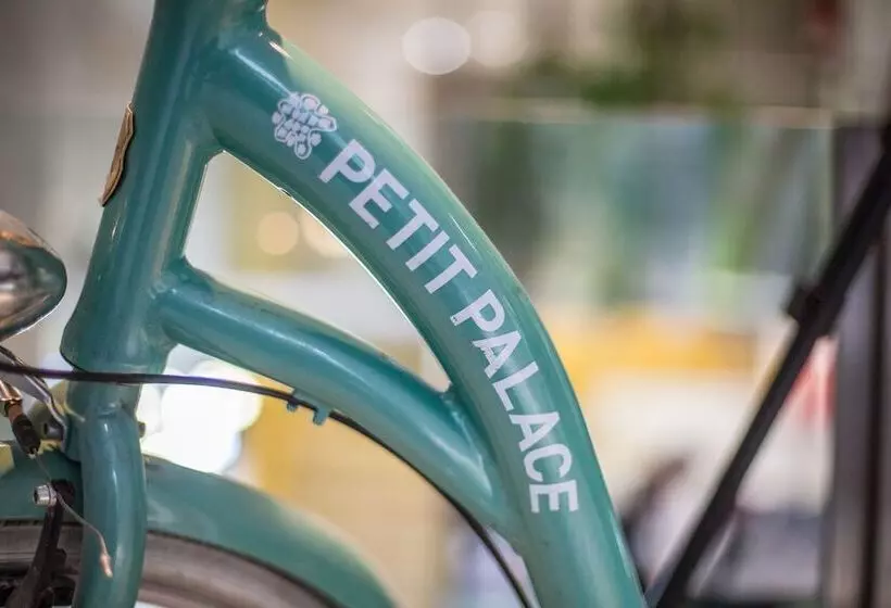 Fotos del hotel Petit Palace Tamarises:  8