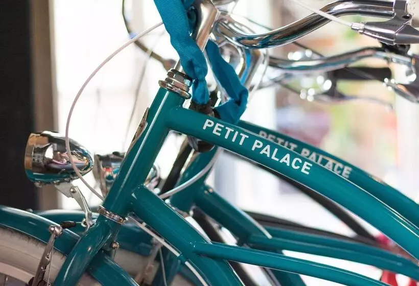 Fotos del hotel Petit Palace Tamarises:  13