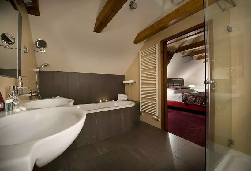 Fotos del hotel Ea Embassy Prague:  13