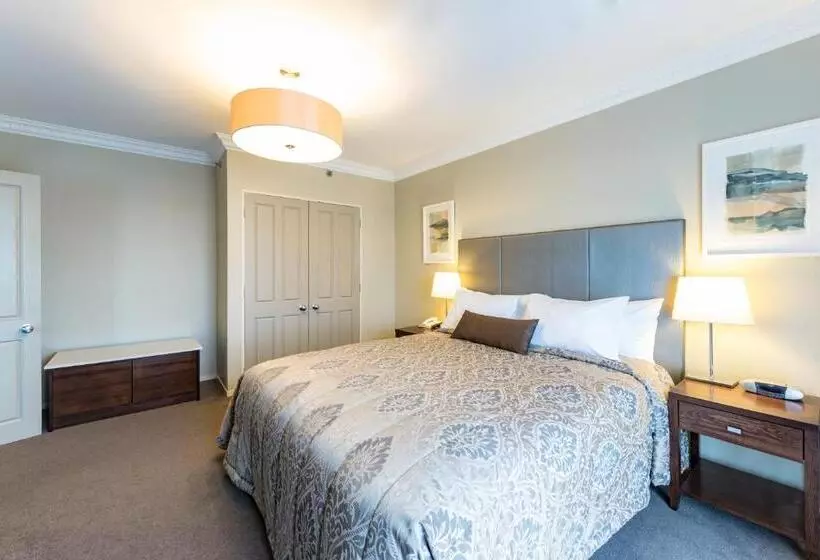 Fotos del hotel Distinction Hotel Rotorua:  9