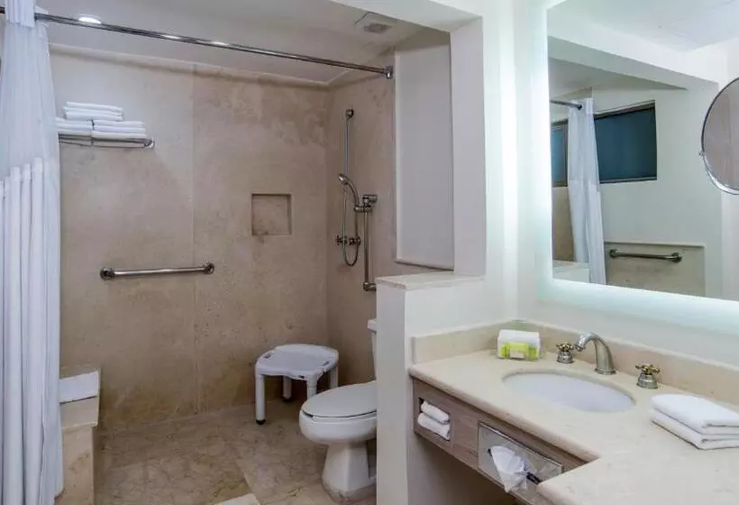 Fotos del hotel Holiday Inn & Suites Mexico Zona Reforma, An Ihg:  3