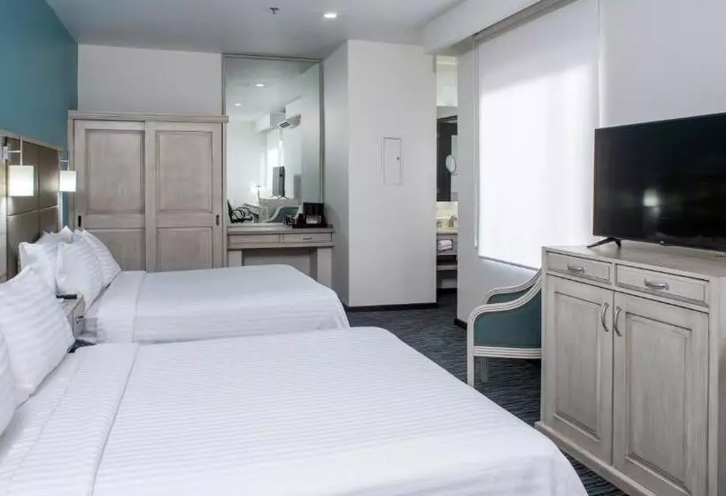 Fotos del hotel Holiday Inn & Suites Mexico Zona Reforma, An Ihg:  21