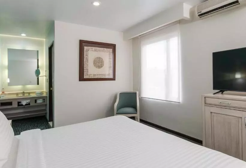 Fotos del hotel Holiday Inn & Suites Mexico Zona Reforma, An Ihg:  19