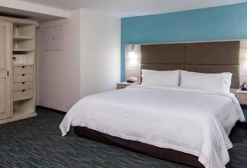 Fotos del hotel Holiday Inn & Suites Mexico Zona Reforma, An Ihg:  15