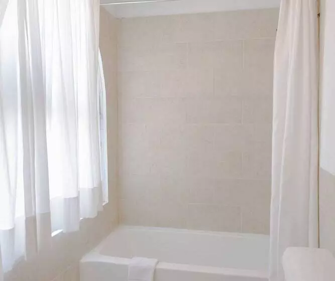 Fotos del hotel Los Agaves Hotel Boutique:  2