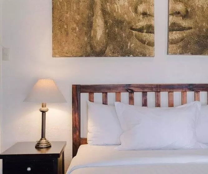 Fotos del hotel Los Agaves Hotel Boutique:  14