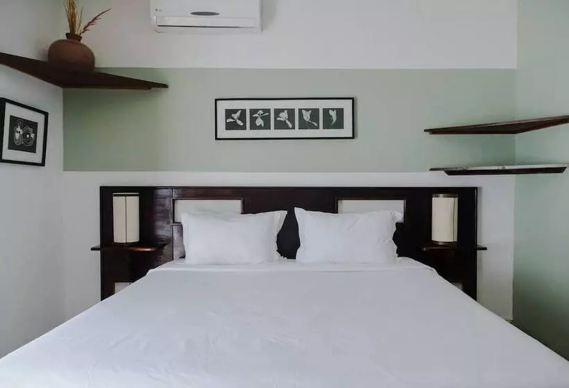 Fotos del hotel Los Agaves Hotel Boutique:  4