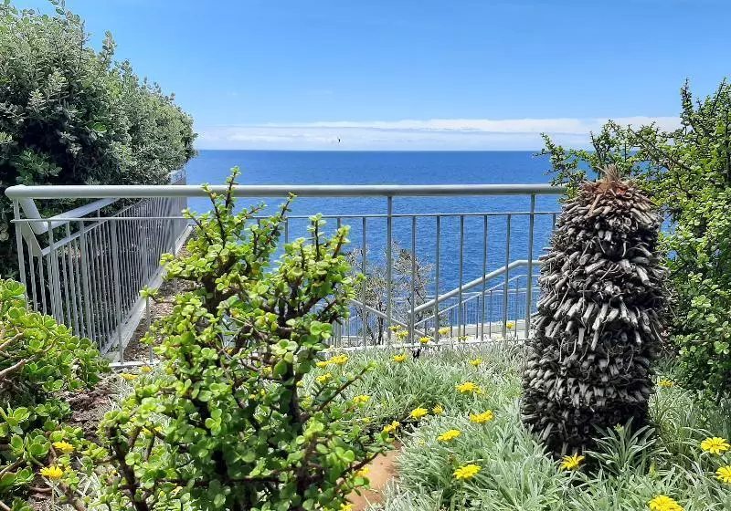 Fotos del hotel Roca Mar:  16