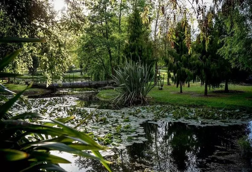 Fotos del hotel The Marlborough:  11