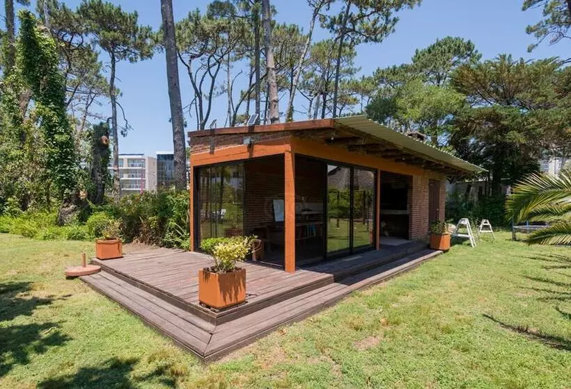 Fotos del hotel Camelot:  12