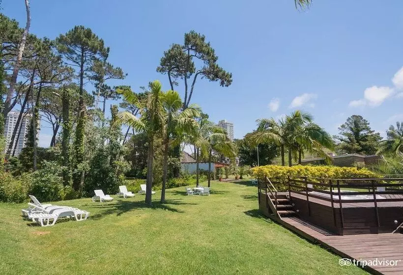 Fotos del hotel Camelot:  9