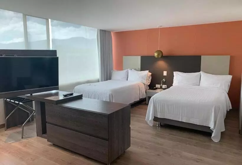 Fotos del hotel Holiday Inn Express & Suites Medellin, An Ihg:  17