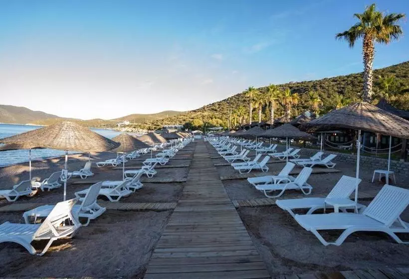 Fotos del hotel Latanya Park Resort:  7