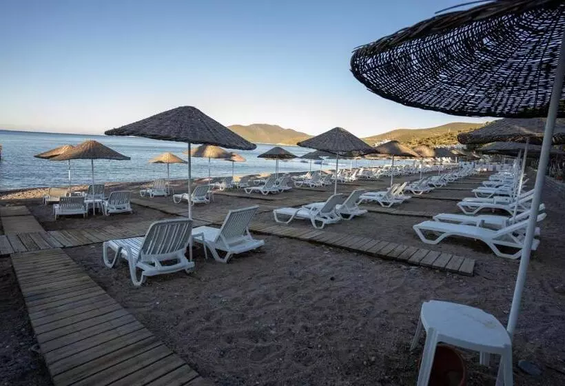 Fotos del hotel Latanya Park Resort:  10