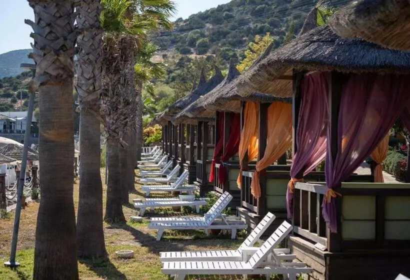 Fotos del hotel Latanya Park Resort:  19